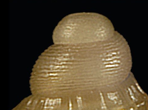 Isola delle Correnti 2